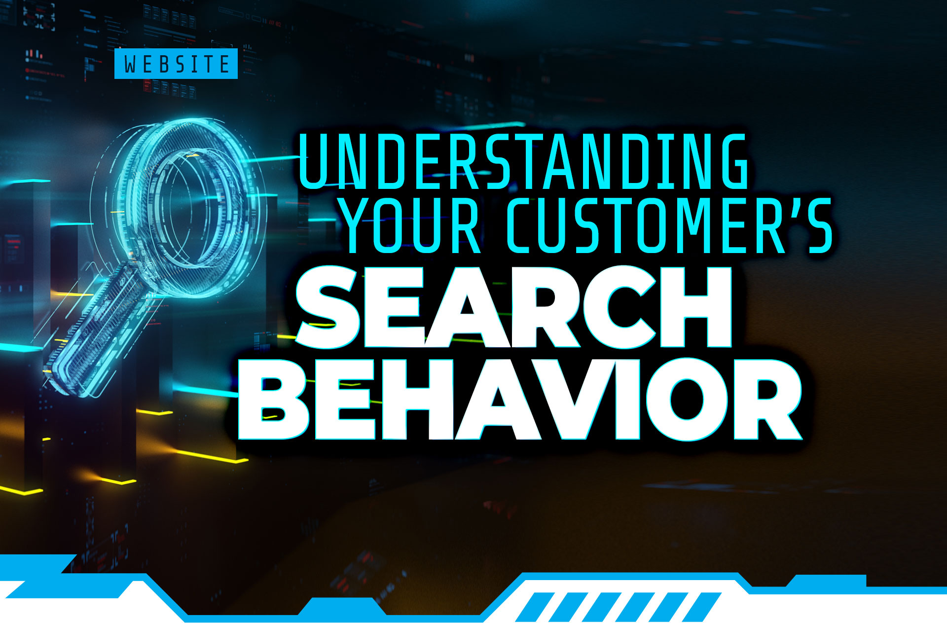 Search Behavior